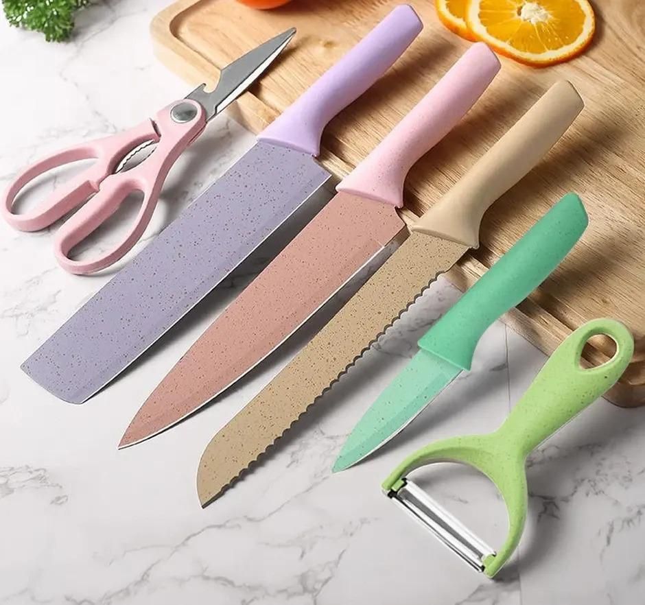 6-Piece Professional Kitchen Knife Set – Multicolor Stainless Steel