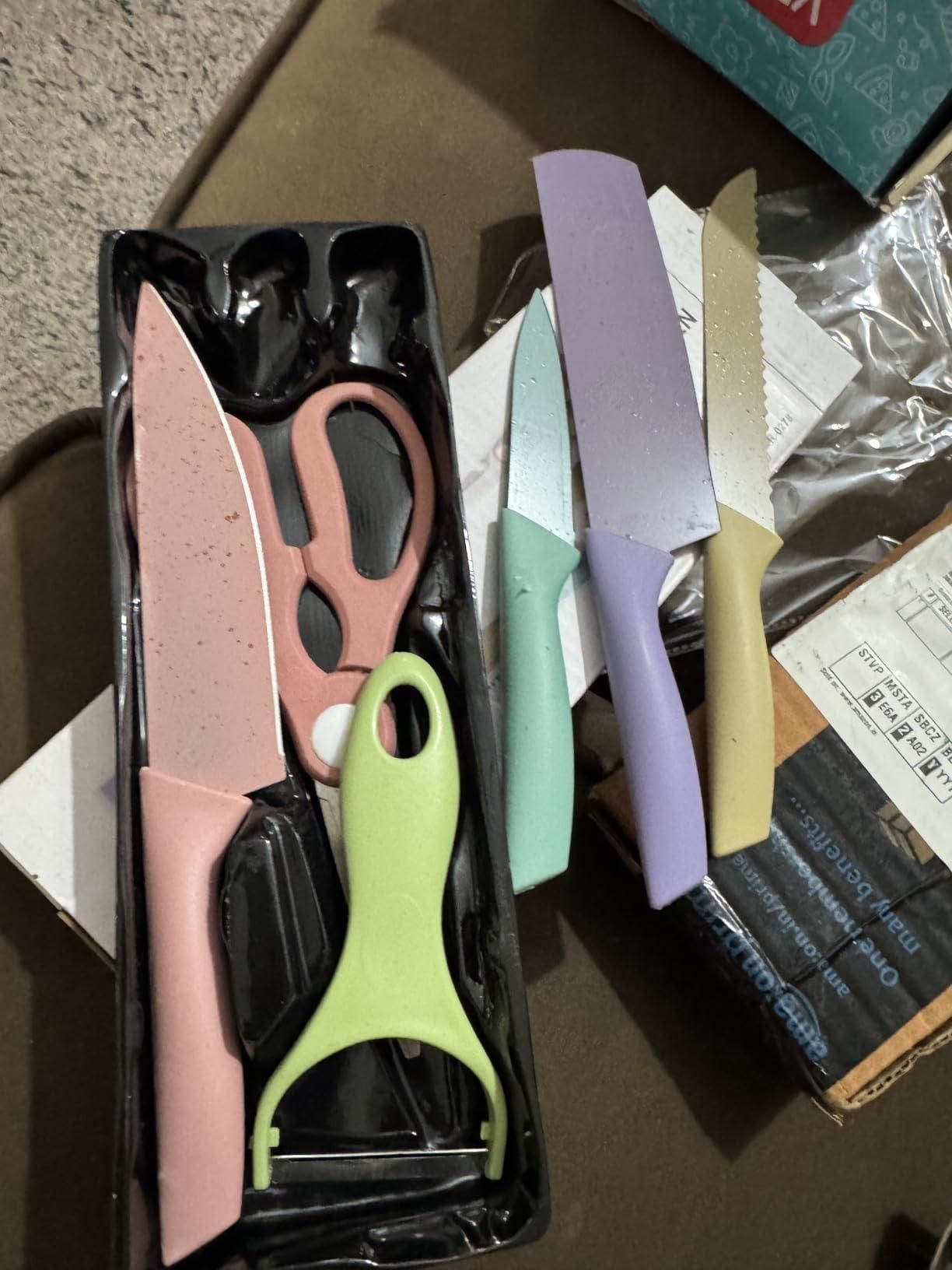 6-Piece Professional Kitchen Knife Set – Multicolor Stainless Steel